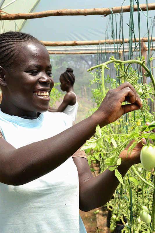 A girl picks vegetables from the garden in Kenya. Photo Credit: C. Schubert